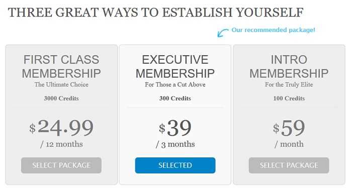 payment page of establishedmen.com